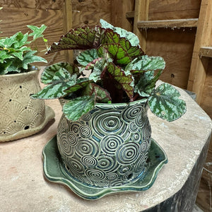 Whimsical Home &amp; Garden: A 4-Week Ceramics Journey