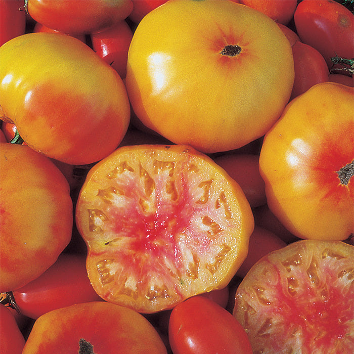 Georgia Streak Tomato