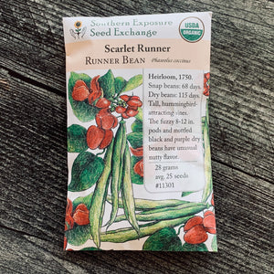 Scarlet Runner Bean