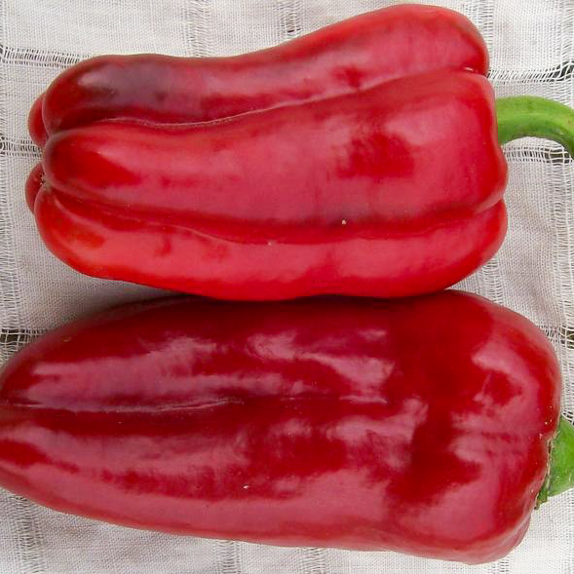 Marconi Sweet Bell Pepper