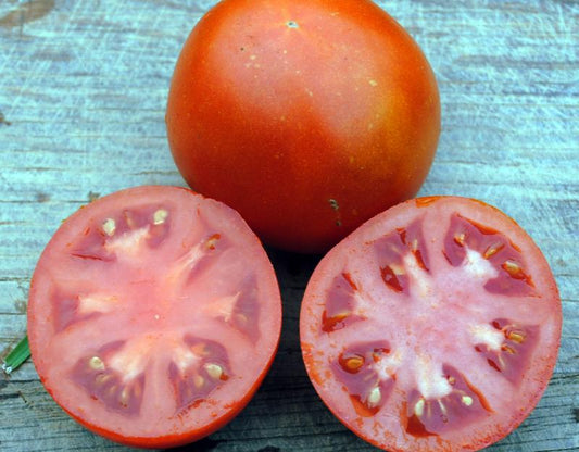 Old Virginia Tomato