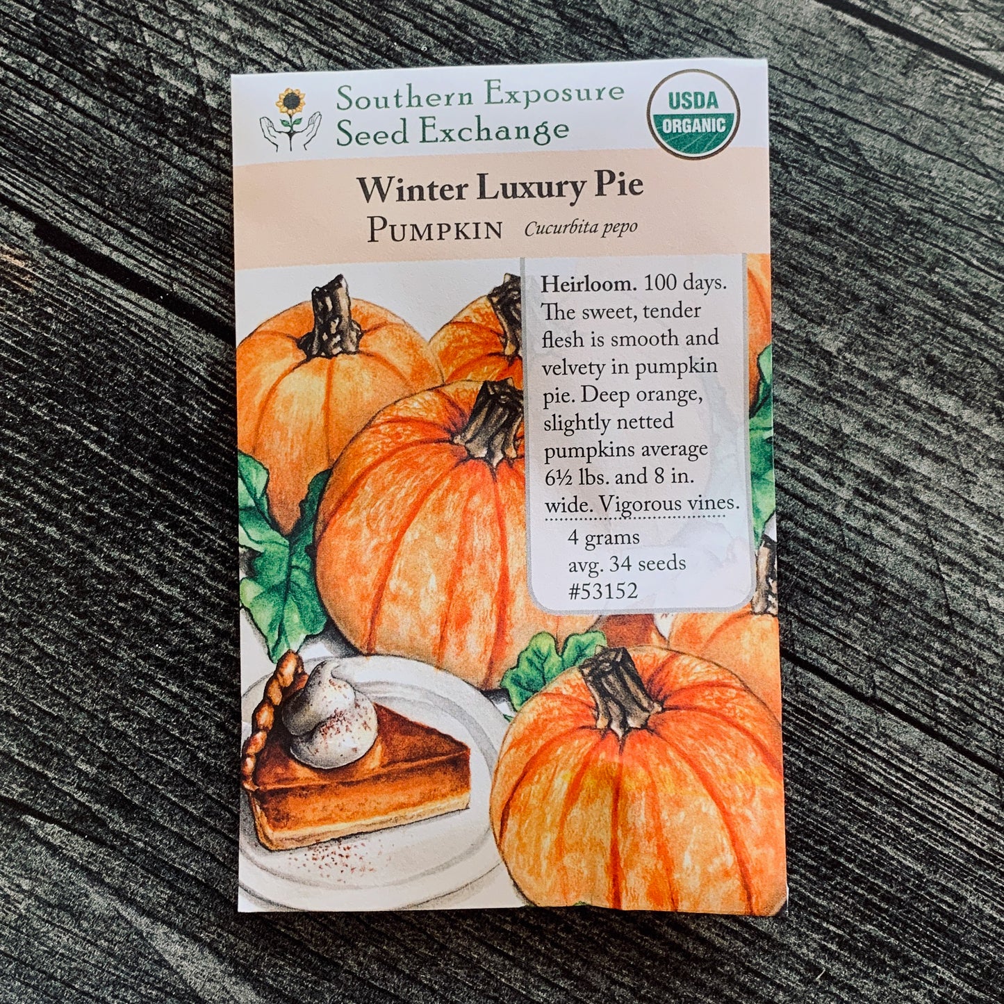 Winter Luxury Pie Pumpkin